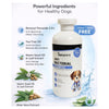 Dr. Chelsea’s Anti Bacterial Shampoo for Dogs & Cats Both-Grooming Supplies Dr. Chelsea&