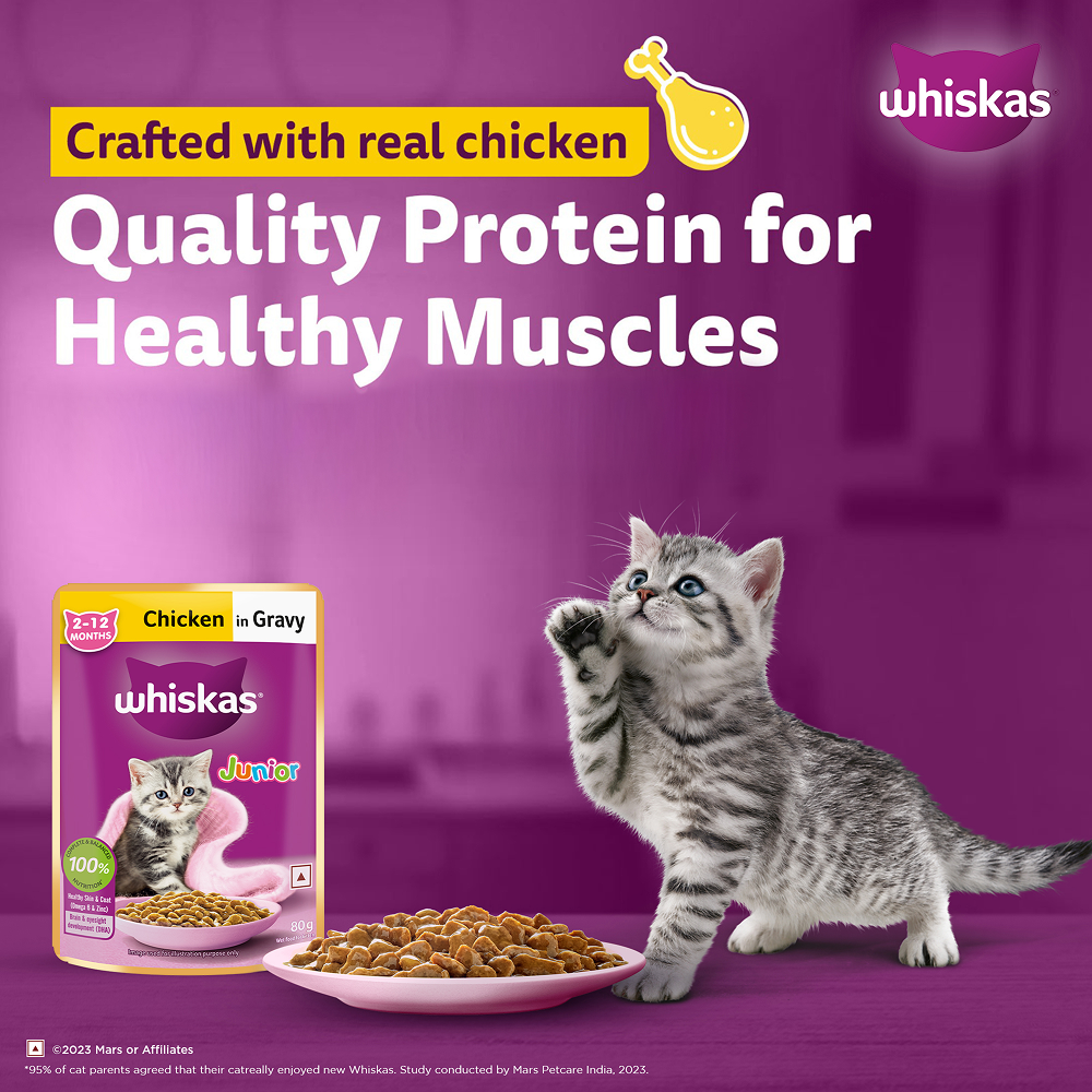 Whiskas Chicken in Gravy Meal Kitten Cat Wet Food