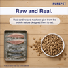 Purepet Ocean Fish Adult Cat Dry Food Cats- Dry food Purepet