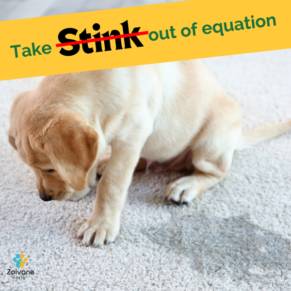 Zoivane  Pets Odour Eliminator for Dogs and Cats