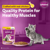 Whiskas Chicken in Gravy Meal Kitten Cat Wet Food Cats-Wet Food Whiskas