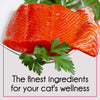 Purepet Ocean Fish and Tuna and Salmon Adult Cat Dry Food Combo Cats- Dry food Purepet