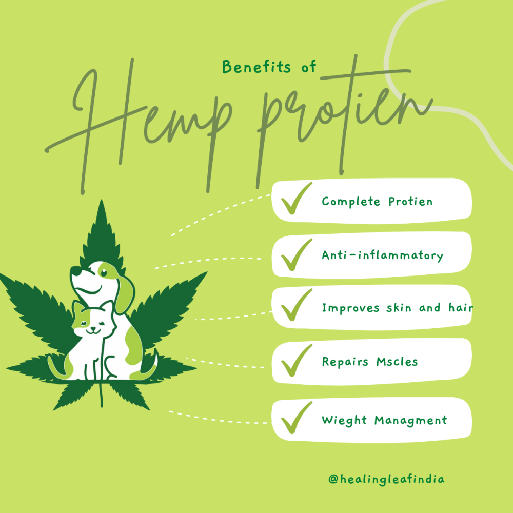 Hemp powder 2024 for dogs