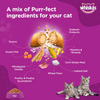 Whiskas Ocean Fish and Tuna Flavour Adult Cat Dry Food Combo Cats- Dry food Whiskas