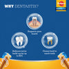 Pedigree Dentastix Oral Care for Adult (Medium Breed of 10 to 25 kg) Dog Treats Dog Treats + Others Pedigree