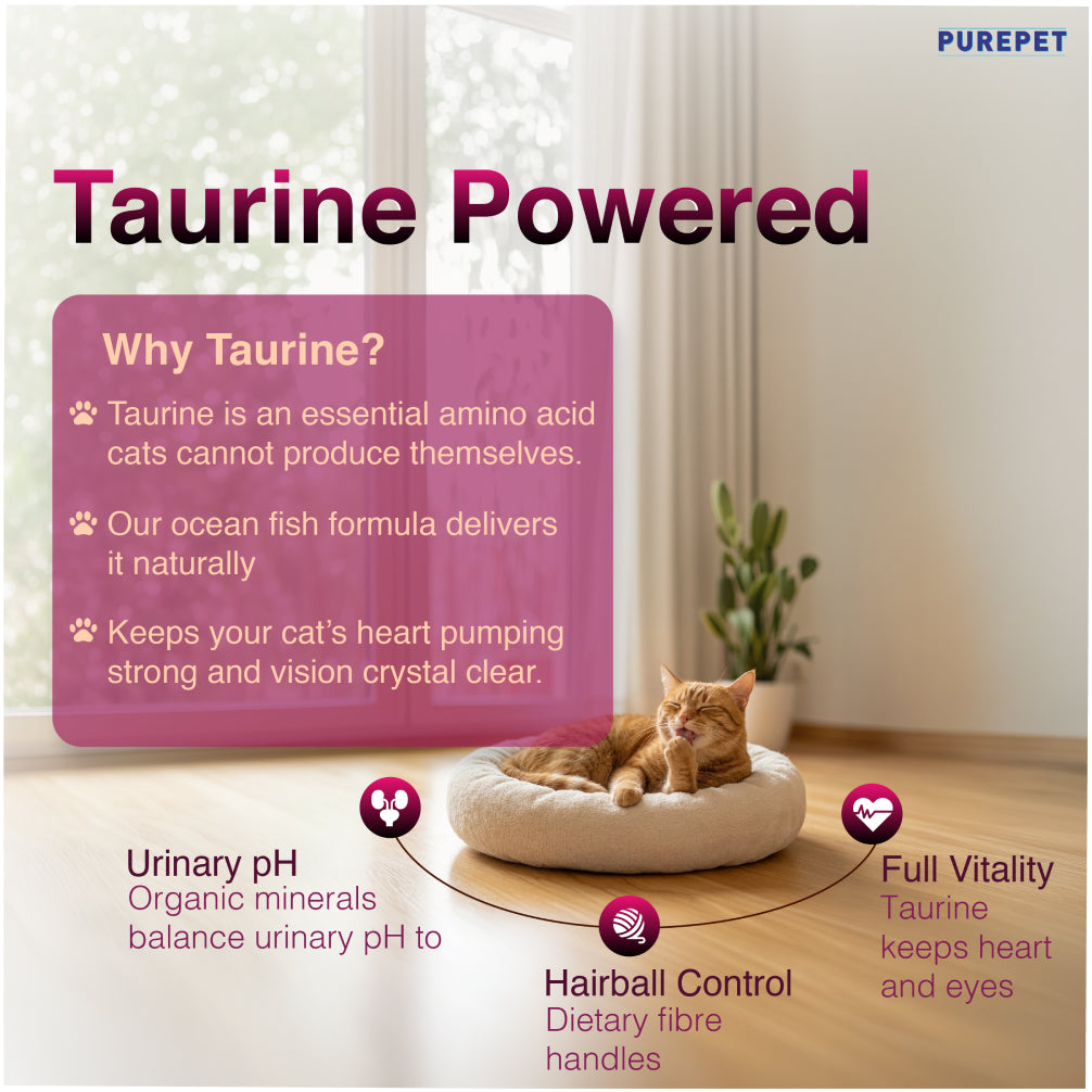 Purepet Tuna and Salmon Adult Cat Dry Food Cats- Dry food Purepet