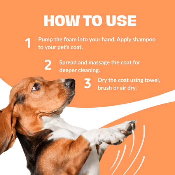 Pupr Dry Bath Lavender Flavoured Shampoo for Dogs