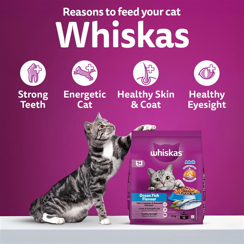 Whiskas Ocean Fish Flavour Dry Food & Petkit Freshelement Solo Automatic 2.4G WiFi Food Dispenser Adult Cat Combo Cats- Dry food Whiskas