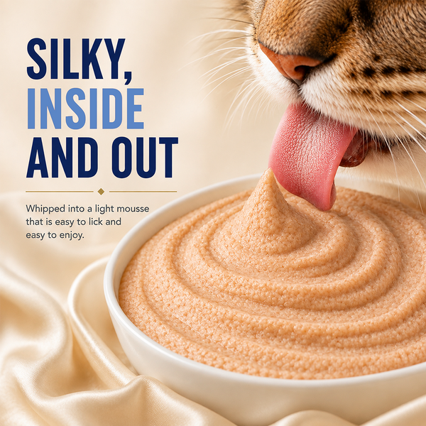 Kitty Yum Chicken Mousse Adult Cat Wet Food