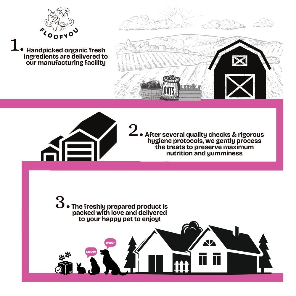 FloofYou Oven Baked Carrot Beetroot Rabbit Treats Rabbits FloofYou