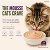 Signature Grain Zero Ocean Fish Mousse Adult Cat Wet Food Cats-Wet Food Signature