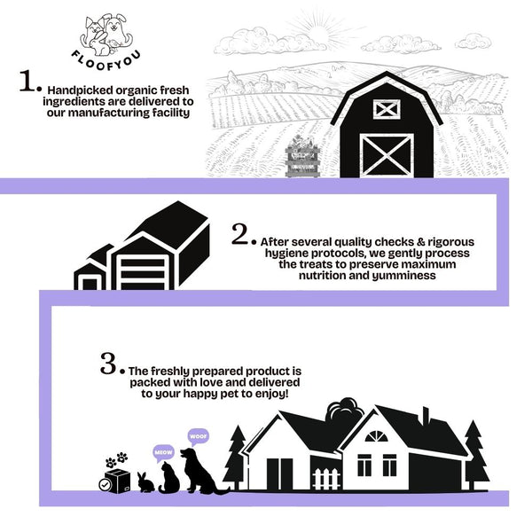 FloofYou Fibre Rich Forage Mix Rabbit Treats