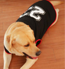 Talking Dog Club Player Ltd Edition Sports Jersey for Dogs (Black)