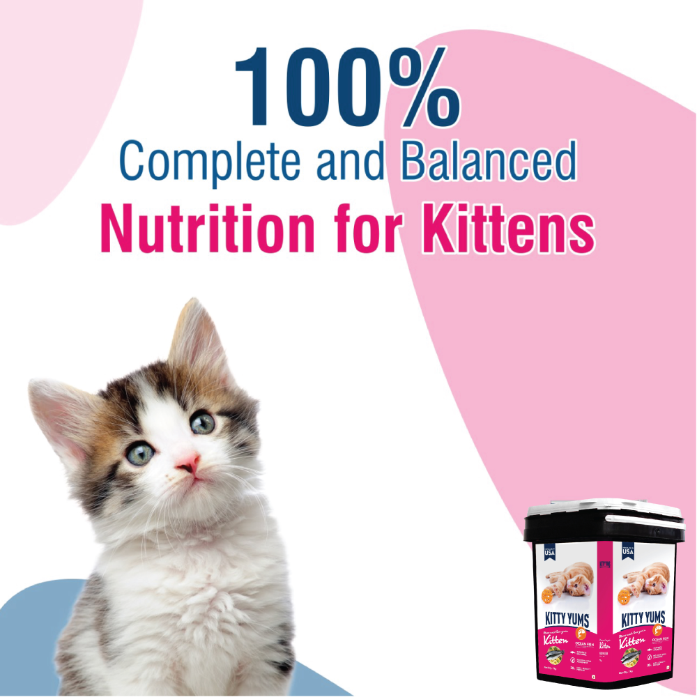Kitty Yums Ocean Fish Kitten Dry Food, Me O Creamy Chicken Liver Cats Treats Combo Exclusive Combo Exclusive Combo