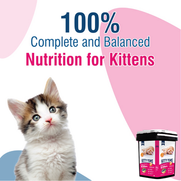 Kitty Yums Ocean Fish Kitten (1 to 12 Months) Cat Dry Food