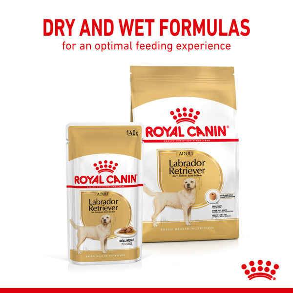 Royal Canin Chunks In Gravy Labrador Retriever Adult Dog Wet Food