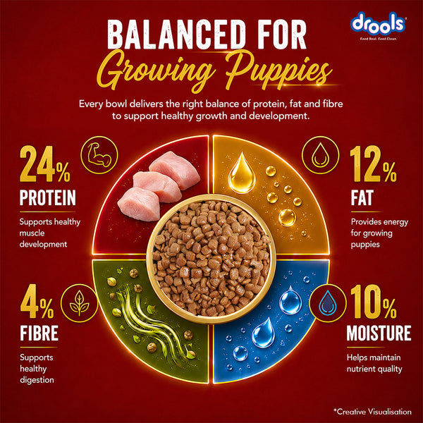 Drools Chicken and Egg Puppy Dog Dry Food