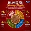 Drools Chicken and Egg Puppy Dog Dry Food Dogs- Dry Food Drools