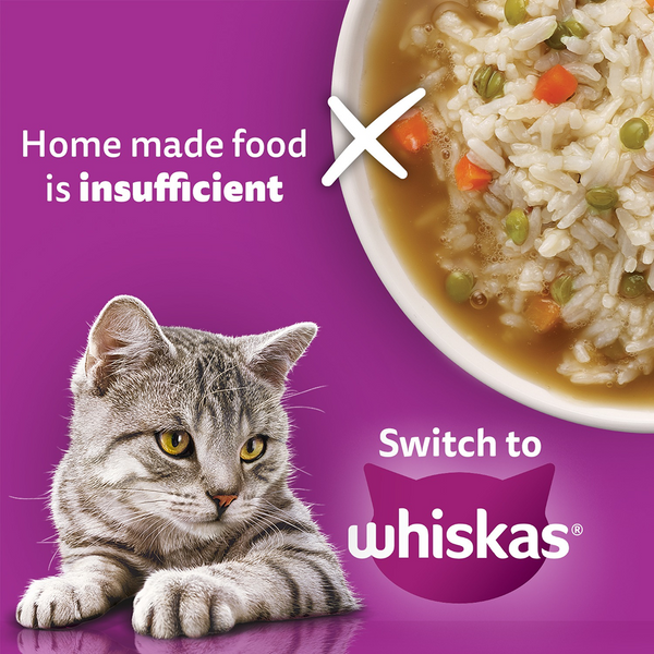 Whiskas Adult Cat Food Combo |Ocean Fish Dry & Salmon in Gravy Wet