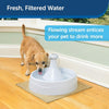 Petsafe Drinkwell 360 Fountain for Dogs and Cats (White) Both-Bowls & Feeders Petsafe Dropship