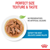 Royal Canin Maxi Starter Dry Food and Maxi Puppy Dog Wet Food Combo Exclusive Combo Royal Canin