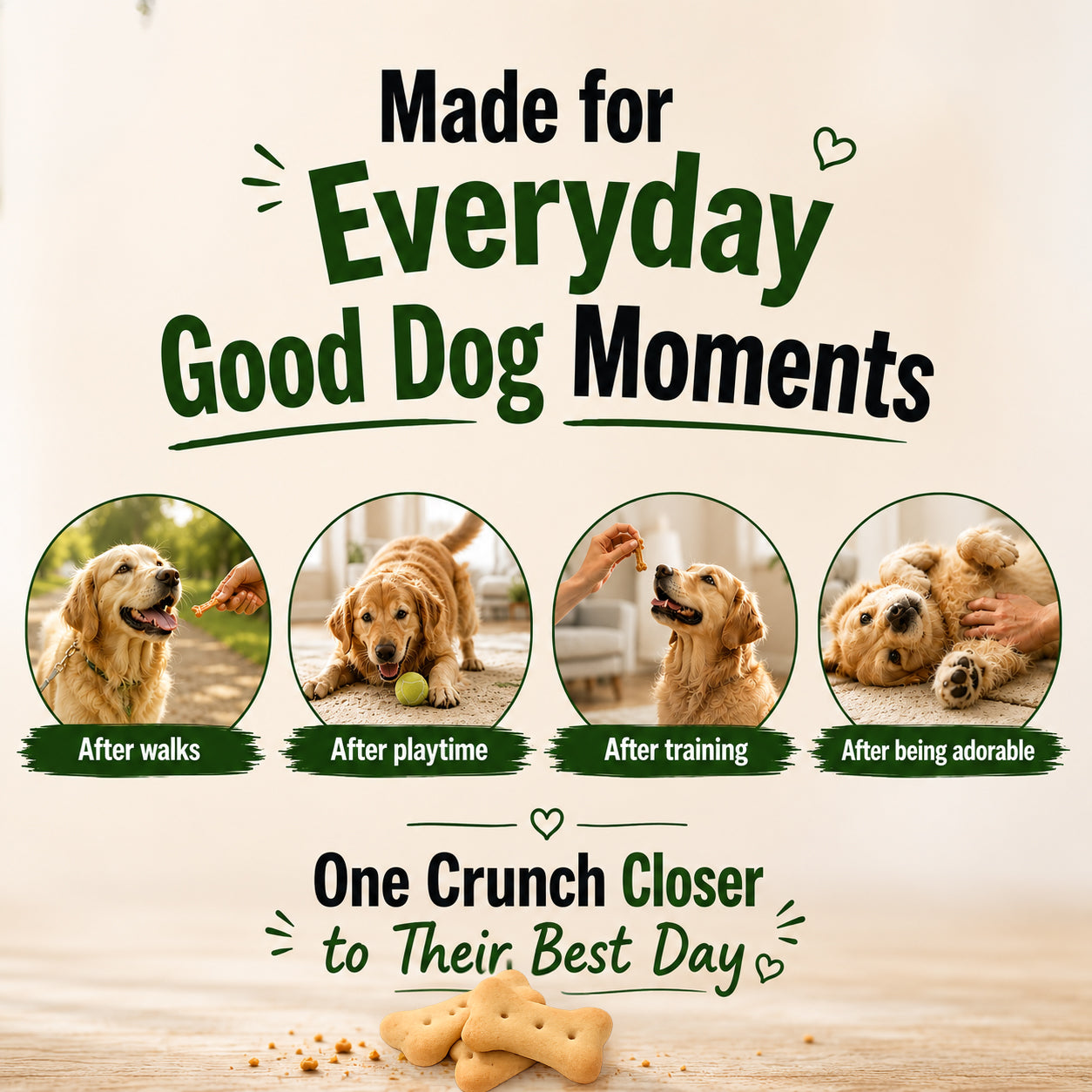 Purepet 100% Vegeterian Biscuit Dog Treats Dog Treats + Others Purepet