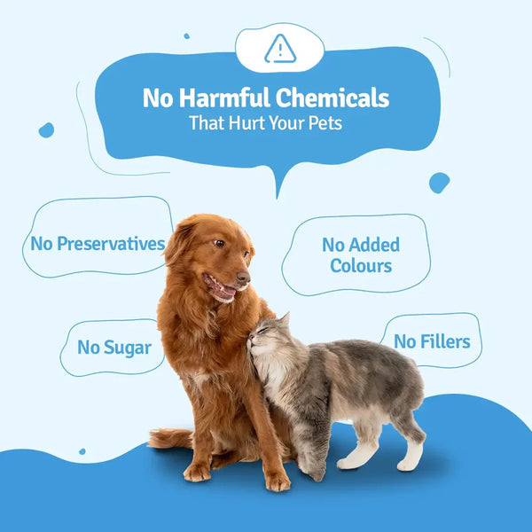 BLEP Chicken Broth for Cats and Dogs