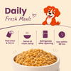 Nootie Nibblr Fresh Wholesome Ready to Eat Meal Daily Chicken Liver Beetroot & Rice Dog Wet Food Dogs-Fresh Food Nootie