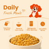 Nootie Nibblr Fresh Wholesome Ready to Eat Meal Daily Chicken Liver with Pumpkin Dog Wet Food Dogs-Fresh Food Nootie