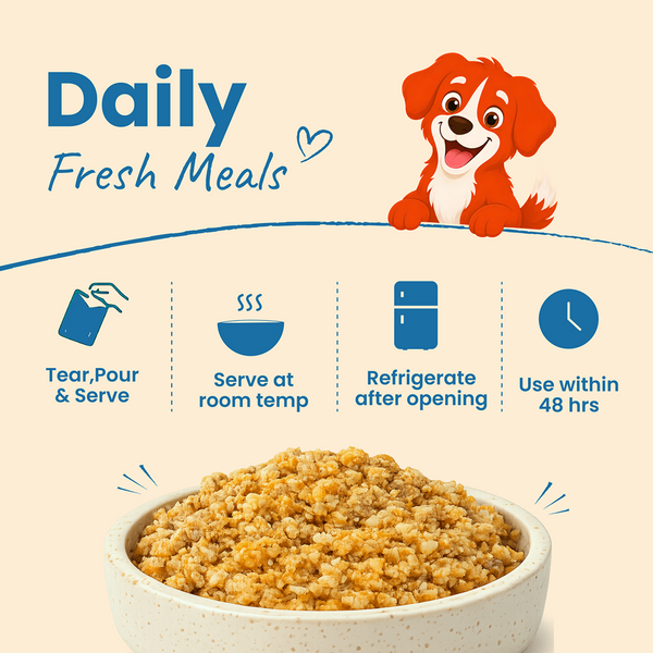 Nootie Nibblr Fresh Wholesome Ready to Eat Meal Daily Chicken Veggie And Rice Dog Wet Food
