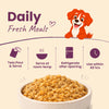 Nootie Nibblr Fresh Wholesome Ready to Eat Meal Daily Chicken Liver Beetroot & Rice Dog Wet Food Dogs-Fresh Food Nootie