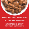 Drools Real Chicken & Chicken Liver Chunks in Gravy Adult Dog Wet Food Dogs-Wet Food Drools
