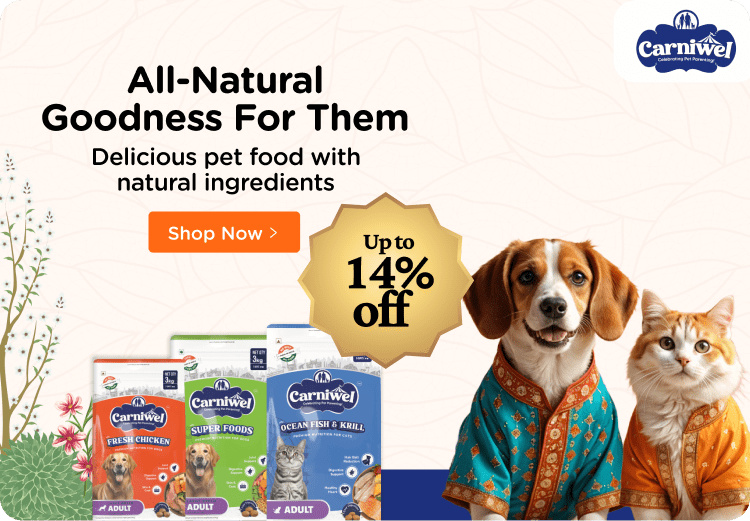 Online Pet Store Shop Pet Supplies and Products Supertails
