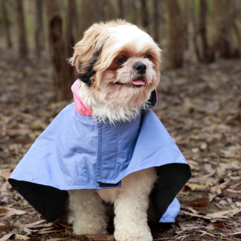 Pet Set Go Dual Colour Cape Style Raincoat for Dogs (Purple) Dogs-Clothing & Accessories Pet Set Go