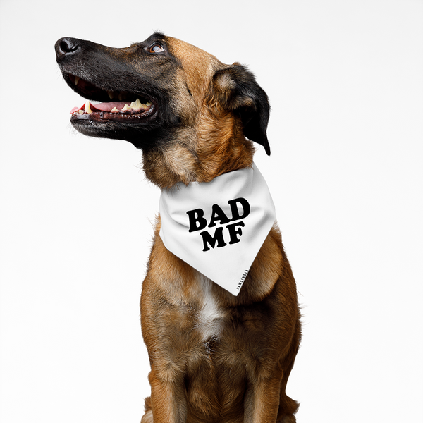 Pawsindia Bad MF Pet Bandana for Dogs and Cats