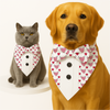 PawsIndia Valentines Edition Hearts with Wings Printed Tuxedo for Dogs and Cats Both-Clothing & Accessories Pawsindia Dropship