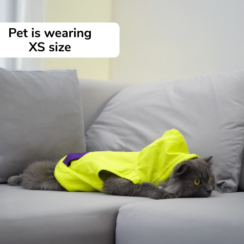 Skatrs Galaxy Breezy Hoodies with Pockets for Dogs and Cats (Green) Both-Clothing & Accessories Skatrs