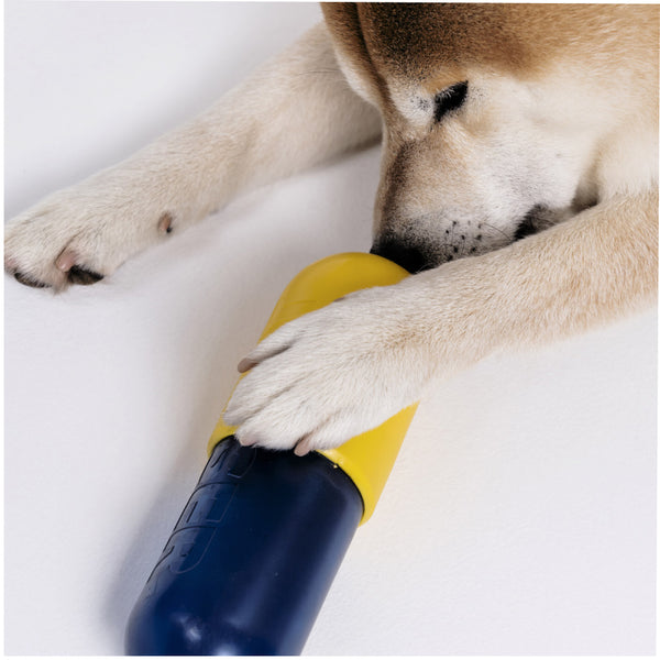 Joyser Pill Chew Toy for Dogs (Blue/Yellow)