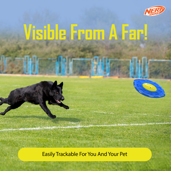 Nerf Bash EXO Micro Squeak Football Toy for Dogs (Blue/Green)