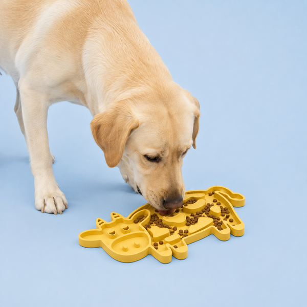 Talking Dog Club Moo Slow Feeder Bowl for Dogs and Cats