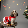 Pawgypets Christmas Dress for Dogs Dogs-Clothing & Accessories Pawgypets Dropship