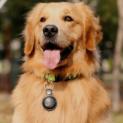 Mitag Go Anti Loss Device with Keychain for Dogs and Cats (Brown) | Android Both-Collar, Leashes, harnesses Mitag Dropship