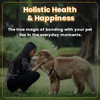 Bark Out Loud Glow and Shine Turmeric and Immunity Multi Vitamin Chew Stix for Dogs and Cats Combo Dog Treats + Others Bark Out Loud
