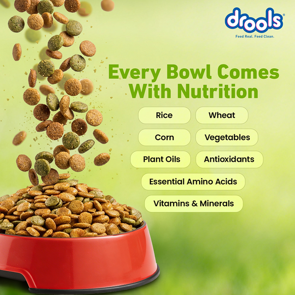 Drools 100% Vegetarian Puppy and Adult Dog Veg Dry Food (All Life Stages)