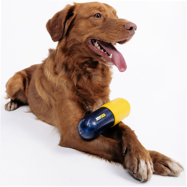 Joyser Pill Chew Toy for Dogs (Blue/Yellow)