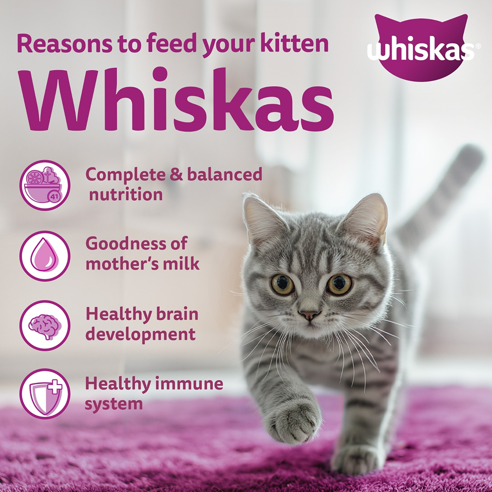Whiskas Ocean Fish Kitten/Mother and Baby Cat Dry Food Cats- Dry food Whiskas