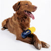 Joyser Pill Chew Toy for Dogs (Blue/Yellow) Dogs-Toys Joyser