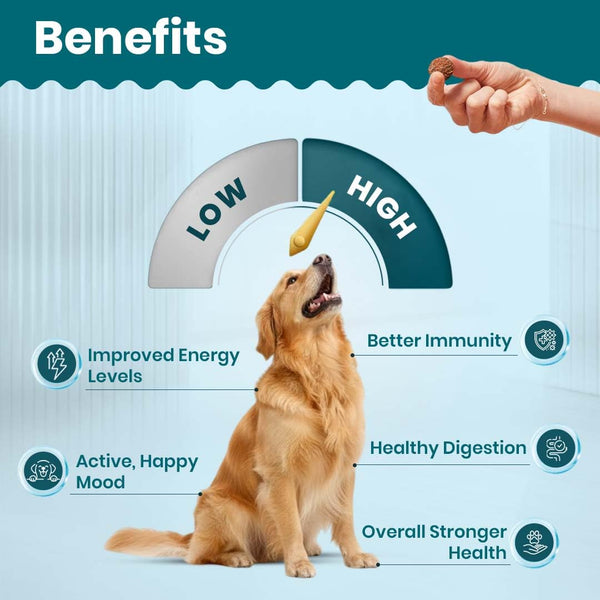 TailsAlive Chicken Flavour Multivitamin Soft Chews Supplement for Dogs