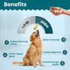TailsAlive Chicken Flavour Multivitamin Soft Chews Supplement for Dogs Dogs-Health & Wellness TailsAlive