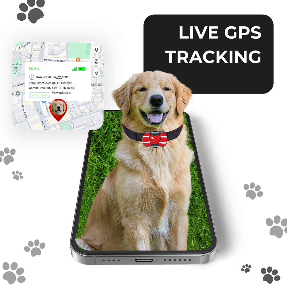 FeTaca PB1 Smart 4G GPS Waterproof Collar with Bow Tracker with 12months Free Tracking & App Subscription for Dogs and Cats (Red) Both-Collar, Leashes, harnesses FeTaca Dropship